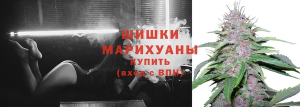 тгк Белокуриха