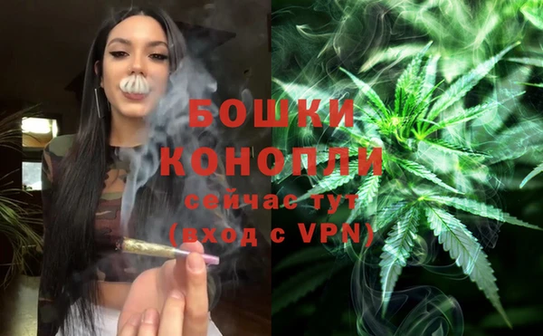 mix Снежногорск