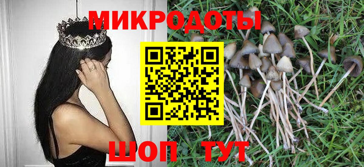 Псилоцибиновые грибы GOLDEN TEACHER  Вход с VPN  Бузулук 